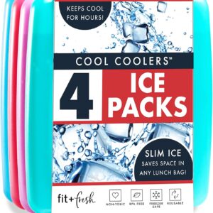 Cool Coolers by Fit & Fresh 4 Pack Slim Ice Packs